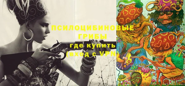 гашик Аркадак