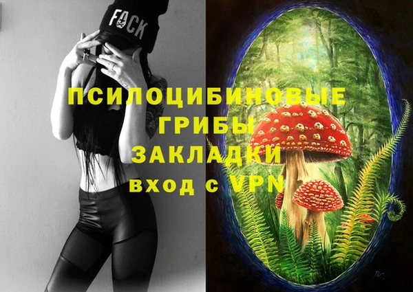 гашик Аркадак
