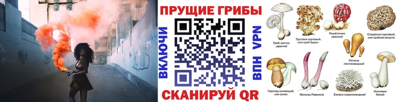 Псилоцибиновые грибы мухоморы  купить  цена  Прохладный 